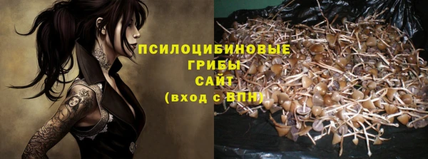 дживик Михайлов