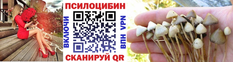Галлюциногенные грибы ЛСД  Новоуральск 
