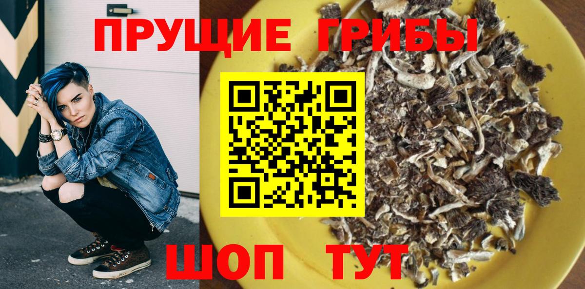 Псилоцибиновые грибы Psilocybe  Новоуральск 